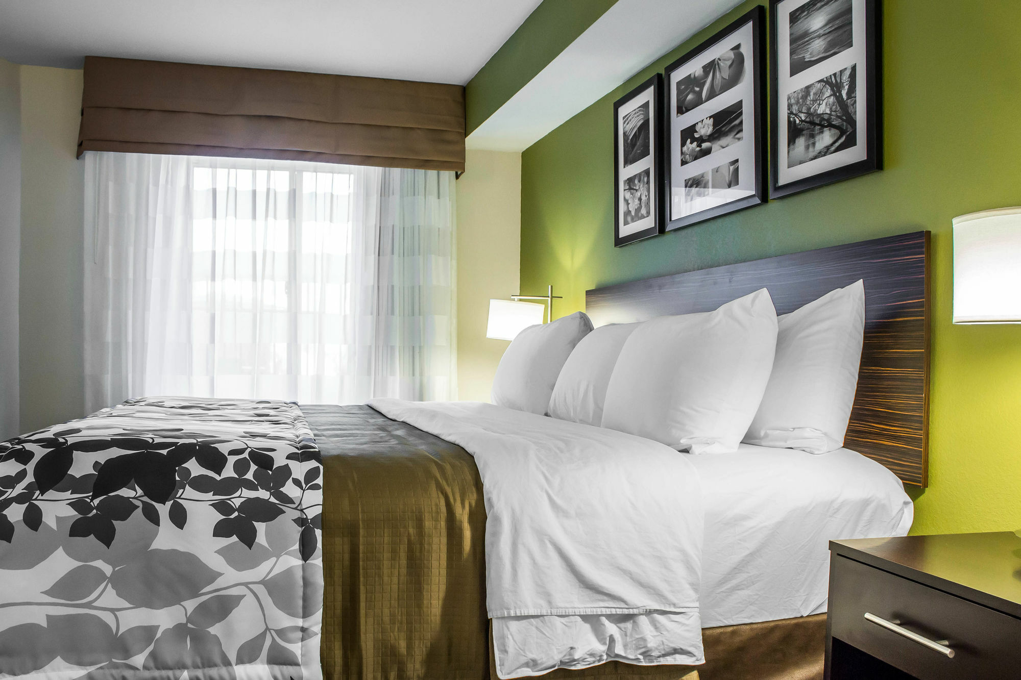 Surestay Plus By Best Western Mesa Superstition Springs Exteriör bild