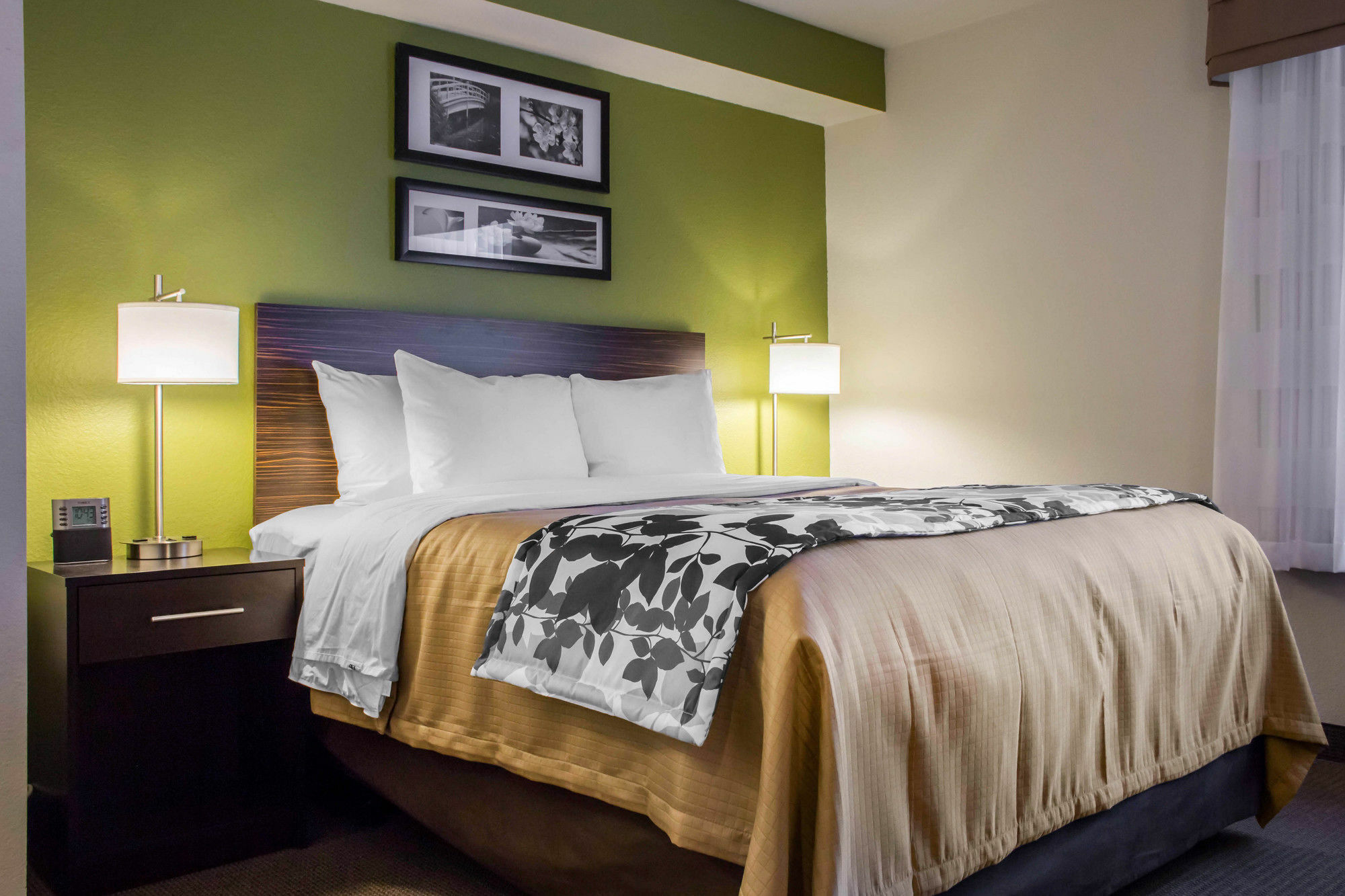 Surestay Plus By Best Western Mesa Superstition Springs Exteriör bild